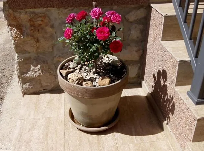 Plitvice ستاريغغاد باكلينتسا